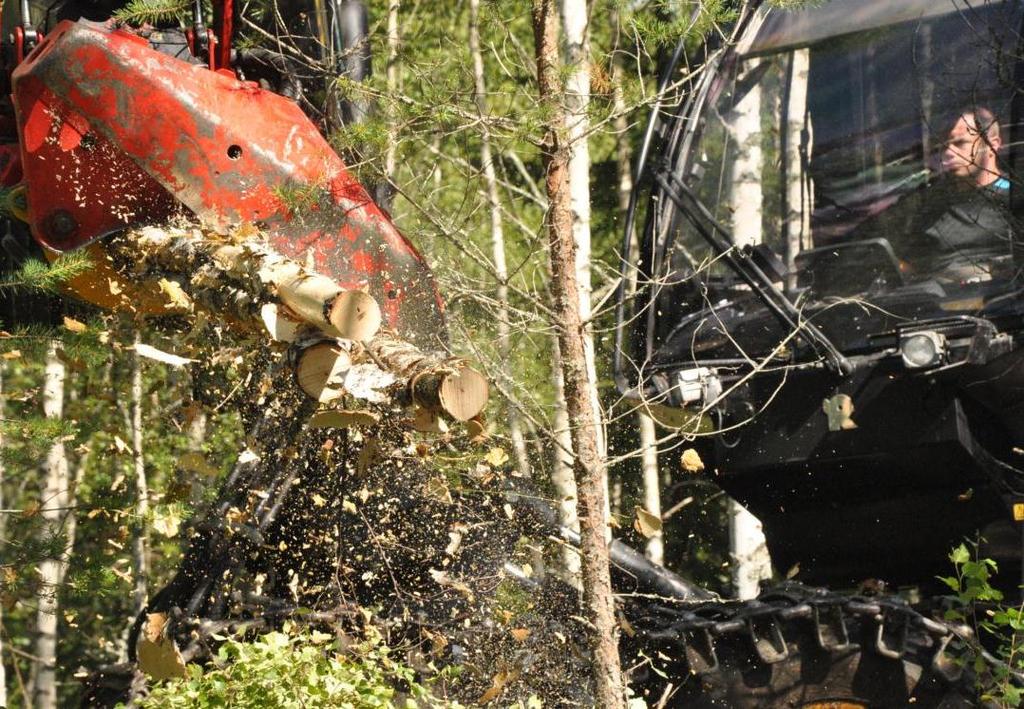 Slutsats Skogsindustrins produkter och biprodukter är mest