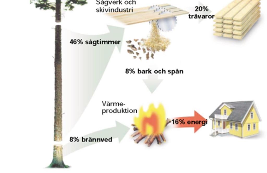 som varje år tas ut från svenska skogar