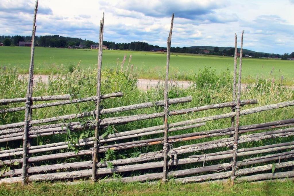 På pensionsförmånerna har reserverats särskild löneskatt motsvarande 24,26 % av upptagen pensionsavsättning och skuld. 2.7.5 Övriga avsättningar Hedemora kommun har inga övriga avsättningar.