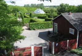 finns trots att de t.ex.