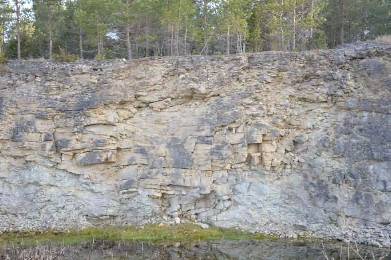 Figur 9: Foto på Snögrinde stenbrott med botten på cirka +46 m och en vattensamling i maj 2017 med vattenyta på cirka +44 m.