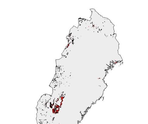 Figur 40: Berggrundskarta, rött markerar förekomster av sedimentär och kristallin kalk- och dolomitsten (karta källa: SMA Mineral och SGU:s digitala berggrundskartering) Som alternativ lokalisering