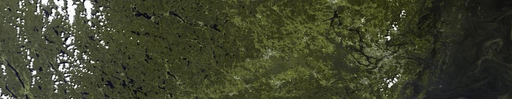 Satellitdata för en bättre miljö- och fiskeriförvaltning i stora