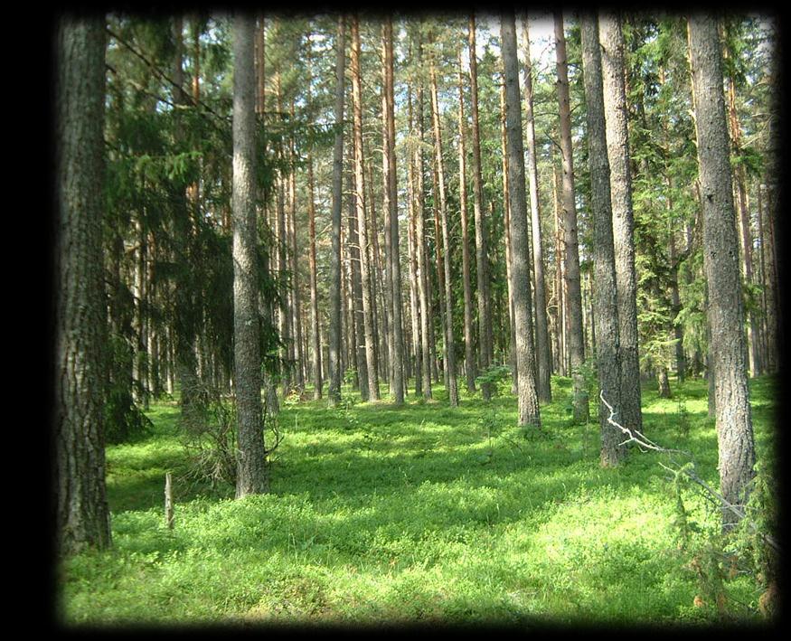 fjärrnalys och GIS, för