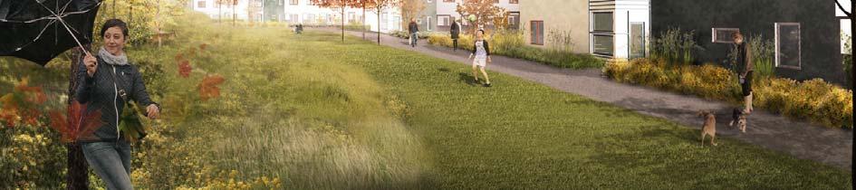 Tillgänglighet för funktionshindrade Planområdet utgörs till största delen av plan mark.