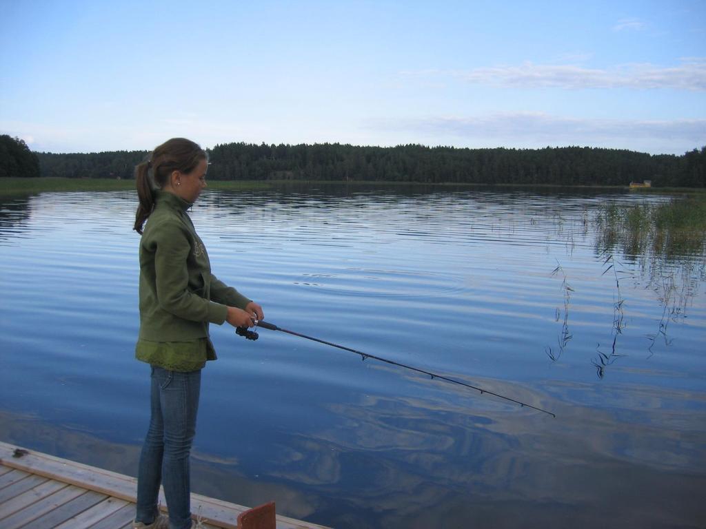 Steg för införande av förvaltningsmodellen En obligatorisk särskild fiskevårdsavgift införs, alternativt länsfiskekort.