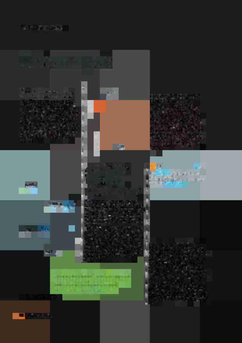 VERKSAMHETSBERÄTTELSE O Aret so m i ck g 0Arets Brisidoler När artisten Seinabo Sey, bloggaren och artisten Viktor Frisk, komikern och Youtubestjärnan Keyyo och artisten Oscar Zia presenterades i