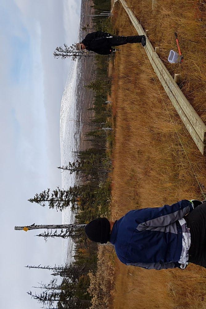 Naturnära jobb 2018 fokus långsiktighet Ytterligare medel för första kvartalet 2019. Länsstyrelsen fördelar medlen.