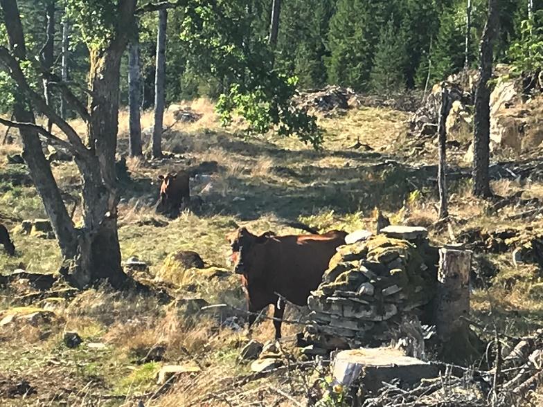 Resultat, utfört arbete
