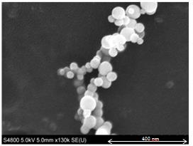 Egenskap som (eventuellt) har betydelse för hälsoeffekterna av nanomaterial Agglomerering dvs.