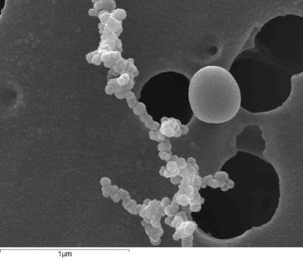 Om att mäta halten nanopartiklar: Filterprovtagning med SEM-analys Filterprovtagning och vägning, vanlig metod för dammprovtagning Filtret vägs och masshalten beräknas Svårt väga nanopartiklar.