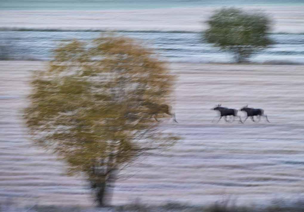 bor. Han kommer också visa bilder från många andra platser där han själv hämtat