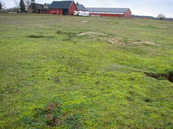 Ripa sandar Ripa sandar är ett stort, flackt och sandigt område beläget en knapp halvmil väster om Åhus tätort.