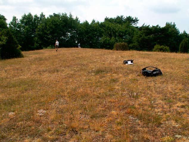 Hotspots för SÄLLSYNTA svampar i Ölands sandstäpper & annan sandvegetation 21 Lokal i behov av åtgärder snarast (klass 2).