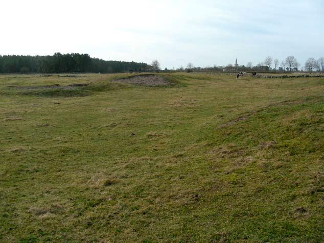 22 Hotspots för SÄLLSYNTA svampar i Ölands sandstäpper & annan sandvegetation Lokal utan omgående åtgärdsbehov (klass 3).