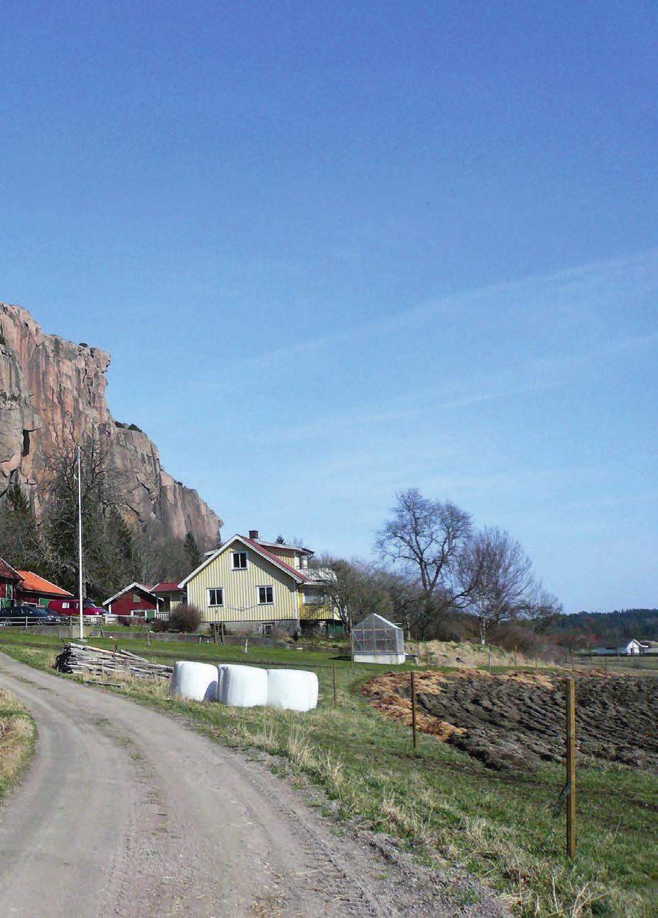 Inledning Under senare år har klättring ökat i populäritet och många som tidigare aldrig var ute i naturen ger sig ut för att klättra på klippor och block.