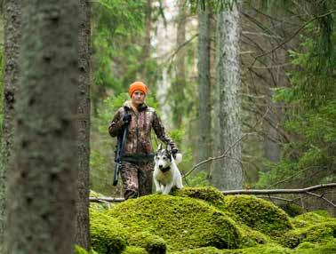 butiqannica.se info@butiqannica.se 073-084 92 13 Soldatv. 3A, Delsbo Starta-eget-kurs För dig som är anställd eller riskerar att bli arbetslös Är du intresserad?