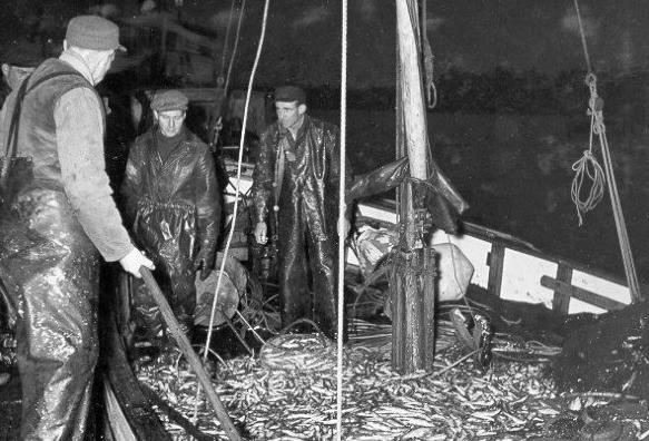 3 Förutsättningar DÅTIDA SKÄRGÅRDEN Båtlivet har alltid varit centralt för Oxelösund och är väl förknippat med stadens historia.