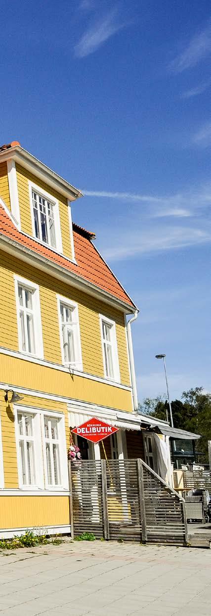 5. Områdesvisa rekommendationer 5.1 Salem 49 5.