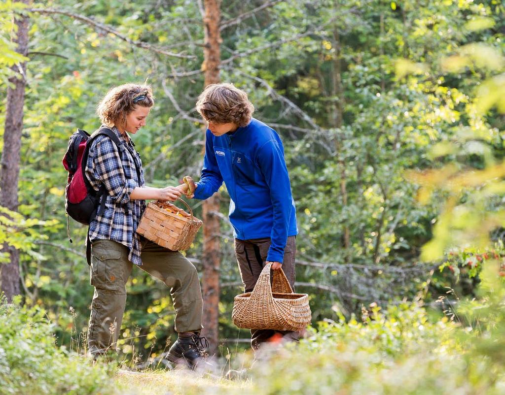 5. Områdesvisa rekommendationer Föreliggande förslag till Översiktsplan för Salems kommun 2030 anger kommunens framtida markoch vattenanvändning baserat på en avvägning mellan allmänna intressen.