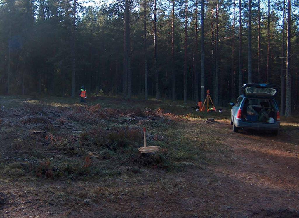 Bild 3. Vy över den strandplatå som undersöktes inom projektet Yngre stenålder i södra Norrlands kustland, taget från öster. Foto: Maria Björck.