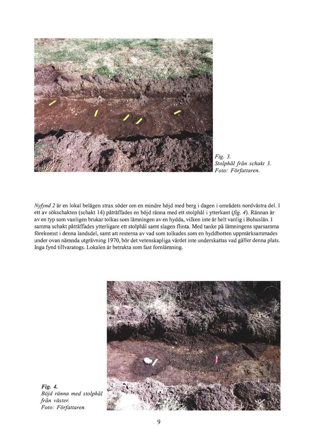 Fig. 3. Stolphål från schakt 3. Foto: Författaren. Nyfynd 2 är en lokal belägen strax söder om en mindre höjd med berg i dagen i områdets nordvästra del.