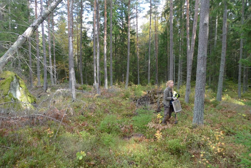 Objekt 4 Objekt 4 identifierades vid den inledande inventeringen som ett möjligt boplatsläge längs en höjdrygg 400 600 m sydväst om de andra kända stenålderslokalerna i området.