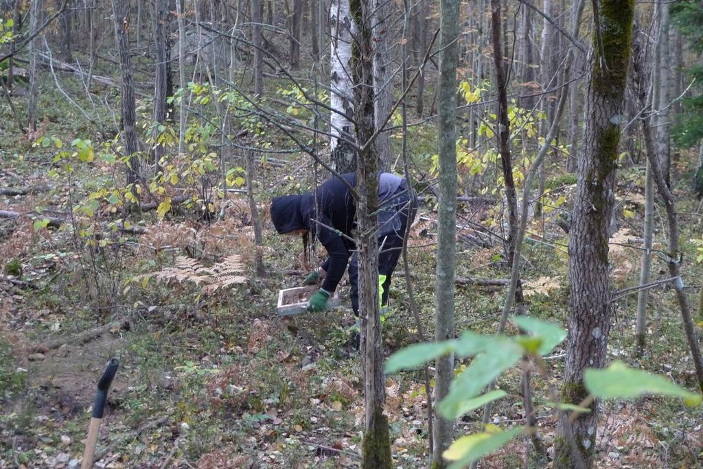 Objekt 7 var beläget i en västsluttning, 36 38 m ö h. Vid utredningen etapp 1 hade det identifierats som ett möjligt läge för en liten neolitisk boplats eller aktivitetsyta.