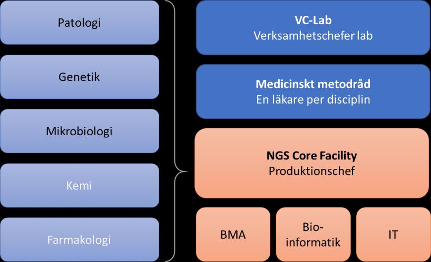 Strategi för GMC i SÖR 5/11 ovarialcancer och coloncancer.