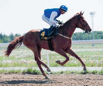 5 Global Boxticker har alltid varit en snackis hos Caroline Malmborg och även han är efter Mastercraftsman, dock med väldigt mycket speed på mödernet.