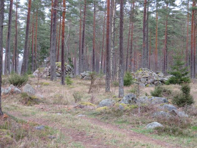 Utmed vägen mot Sävsjö by finns flera flyttblock.