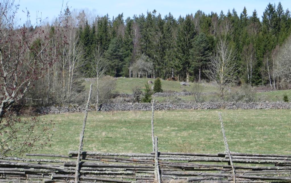 Bykärnan omges av ett småbrutet, lätt kuperat