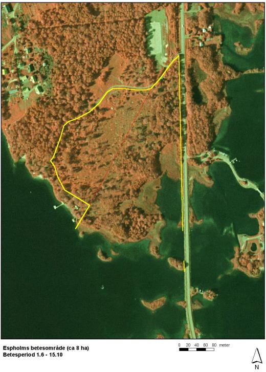 Espholm