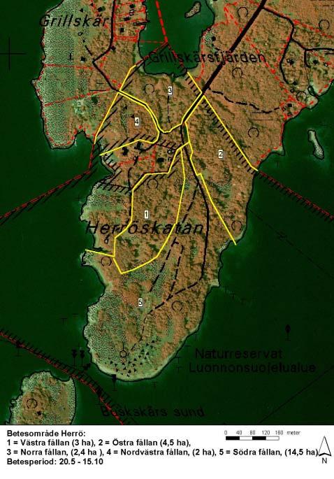 Herrö