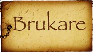 Socialnämnden Jag vill ge lite information angående begreppet brukare eftersom det då och då dyker upp att man borde använda ett annat namn.