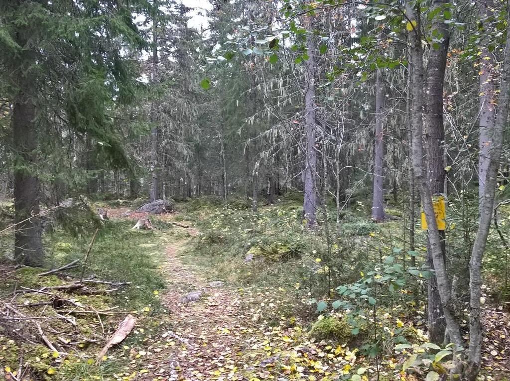 6 (7) Fornlämningar Rekreation och rörligt friluftsliv Inga kända fornlämningar finns inom områdena.