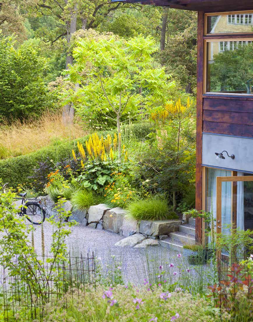 T v: En rejäl köksträdgård är det senaste tillskottet. Den är inhägnad med granstörar och ekstolpar. Växthuset i brunmålat trä kommer från Sweden Green House.