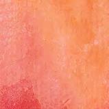 2636 