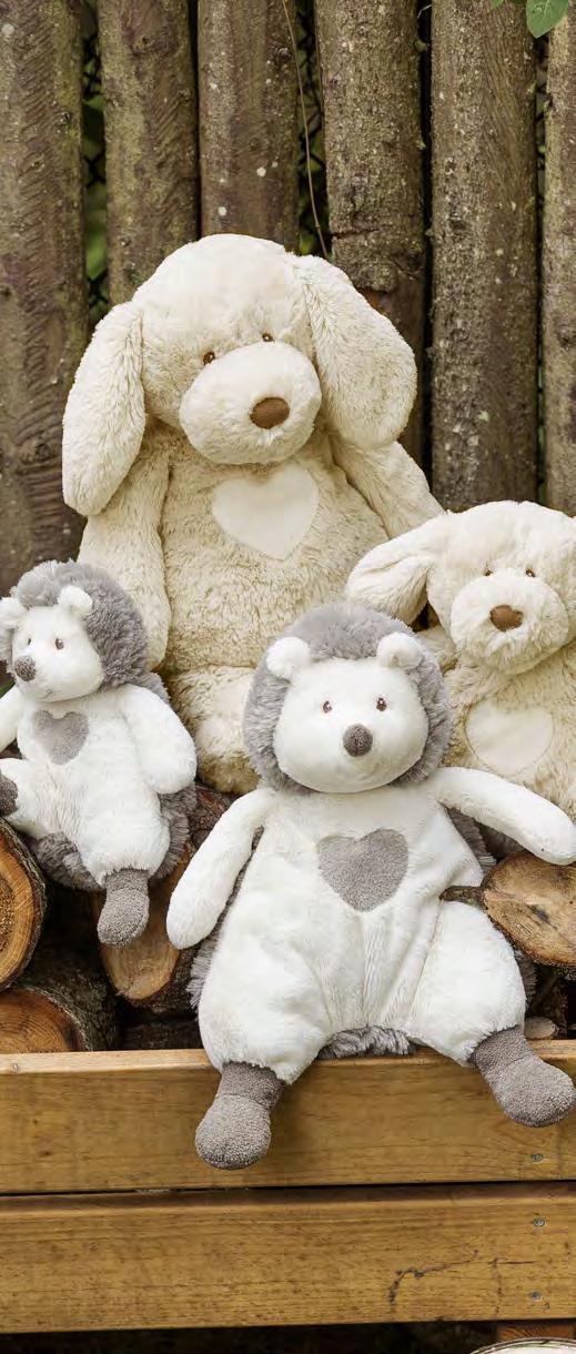 12 st/fpk 2633 Teddy