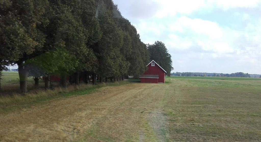 3.8. Vegetation och ekologi Marken i området är till allra största delen jordbruksmark som brukas på ett modernt och storskaligt vis.