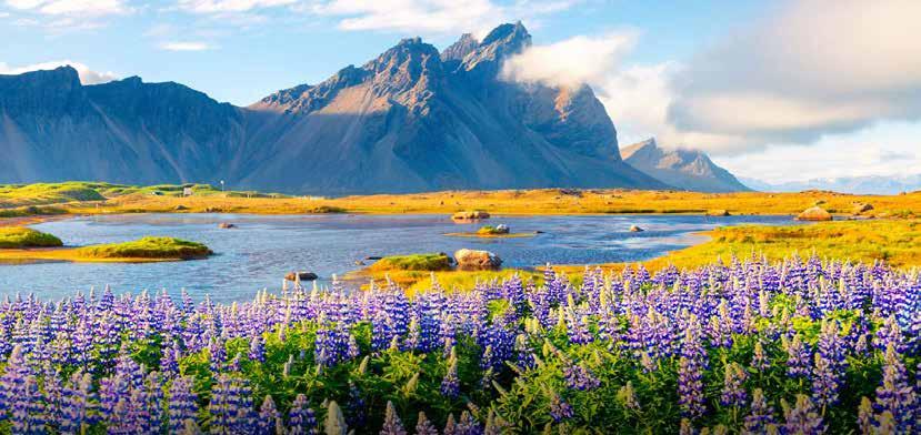 Club Eriks noga utvalda upplevelser Island älvornas, sagornas och vulkanernas ö Island runt Det mytomspunna Island är isens, eldens och de klassiska sagornas land med långa arktiska vintrar och ljusa