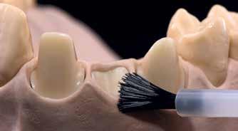 1:a Dentin/Incisal bränning Isolera modellen innan skiktning med Dentin/Incisal material.
