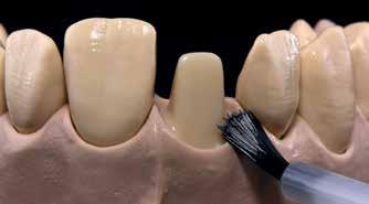 1:a Dentin/Incisal bränning Isolera modellen innan skiktning med Dentin/Incisal material.