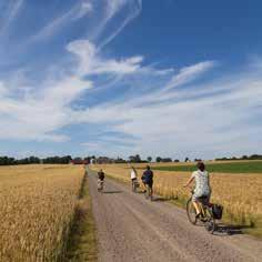 Den skånska paradisön är ca 11 km lång och upptäcks allra bäst på cykel. Ven är en perfekt dagsutflykt för en barnfamilj!
