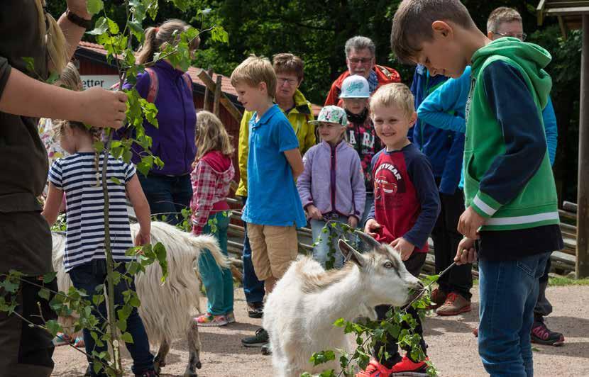 Skånes Djurpark ett äventyr för hela familjen Skånes Djurpark är världens största djurpark för nordiska djur. Djurparken ligger vackert belägen i hjärtat av Skåne.
