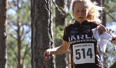 Förslag skogskartor Arbetsgruppens förslag för skogskartor. Skala för ultralång distans och långdistans ska vara: 1:15 000 i klasserna D/H18-21.