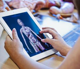 Förvaltningsberättelse Mål och måluppfyllelse Vision: 15 000 stolta göingar Fokusområden Måluppfyllelse Visionen Plattformen för visionen är: stabil ekonomisk hushållning god livsmiljö och långsiktig