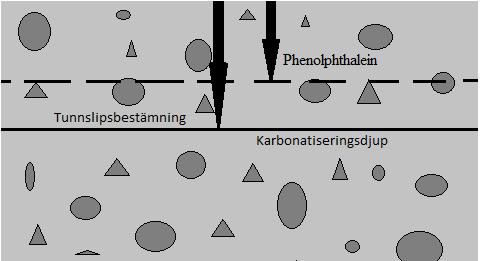 13 Vid karbonatisering blir cementpastan porösare. Den porösa pastan blir ljusare än tät pasta. Färgskillnaden syns under mikroskopet.