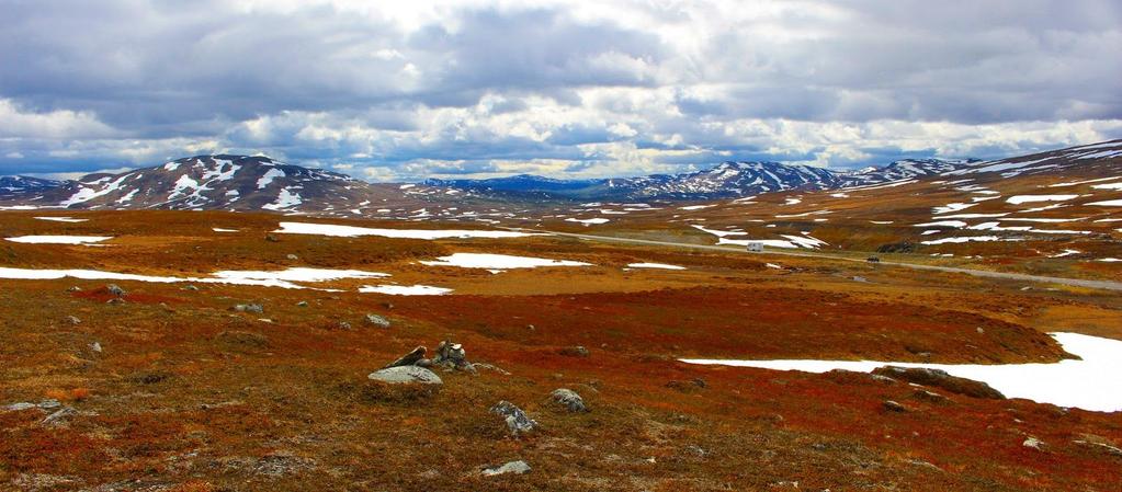 13 VILHELMINA MINERAL Memorandum 2018 Tillämplig lagstiftning Aktierna ges ut under aktiebolagslagen (2005:551) och regleras av svensk rätt.