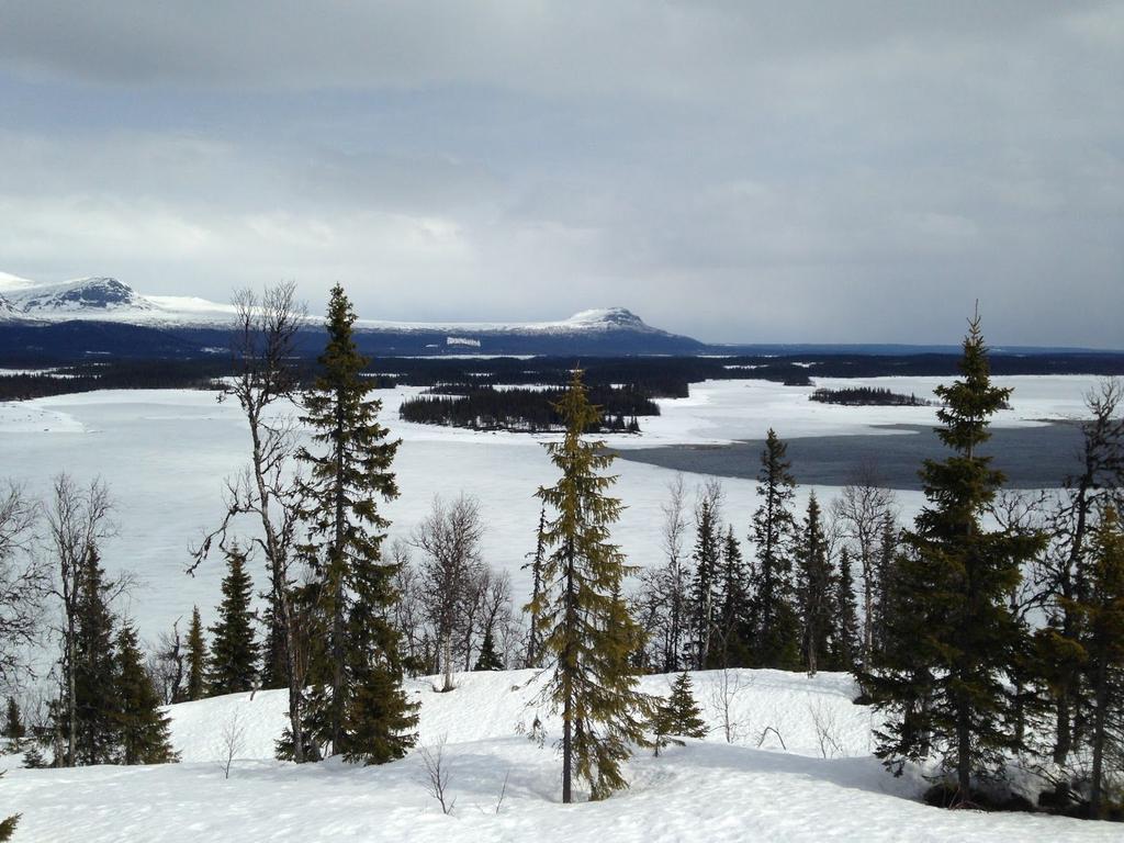 15 VILHELMINA MINERAL Memorandum 2018 Verksamhet Vilhelmina Mineral i korthet Vilhelmina Mineral är ett bolag verksamt inom prospektering och gruvutveckling i Norden inom basmetaller, främst koppar